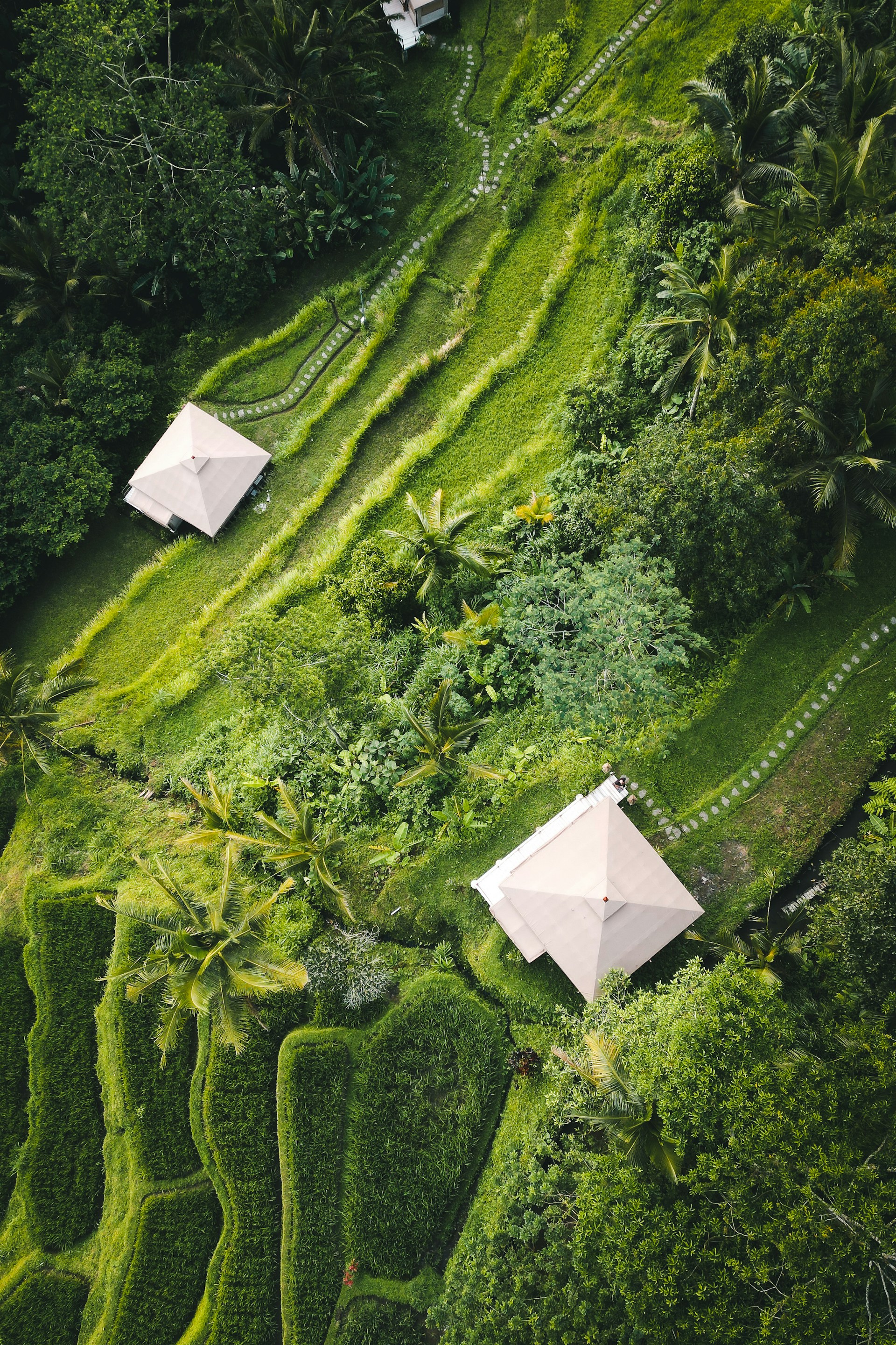 Aerial Terrace