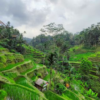 North Bali Tour gallery photo